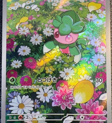 Fomantis AR 082/081 m5