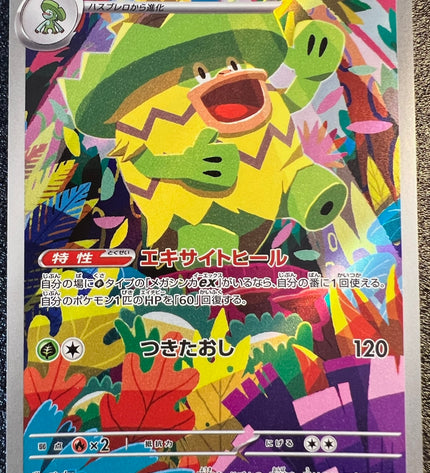 Ludicolo AR 081/080 m2