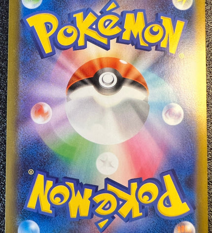 Ludicolo AR 081/080 m2